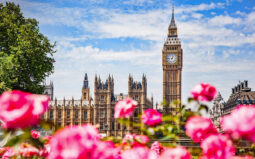 Big Ben, the Palace of Westminster in London, UK as seen from public garden with flowers