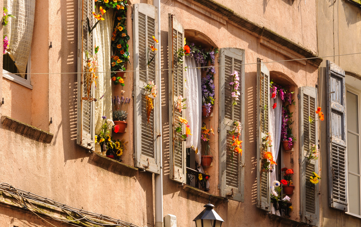 Grasse in Südfrankreich mit Mango Tours