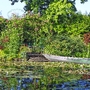 Garten des Malers Monet